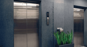 Contenido Amplio (43)