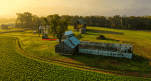 Contenido Amplio (45)