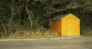 Contenido Amplio (46)