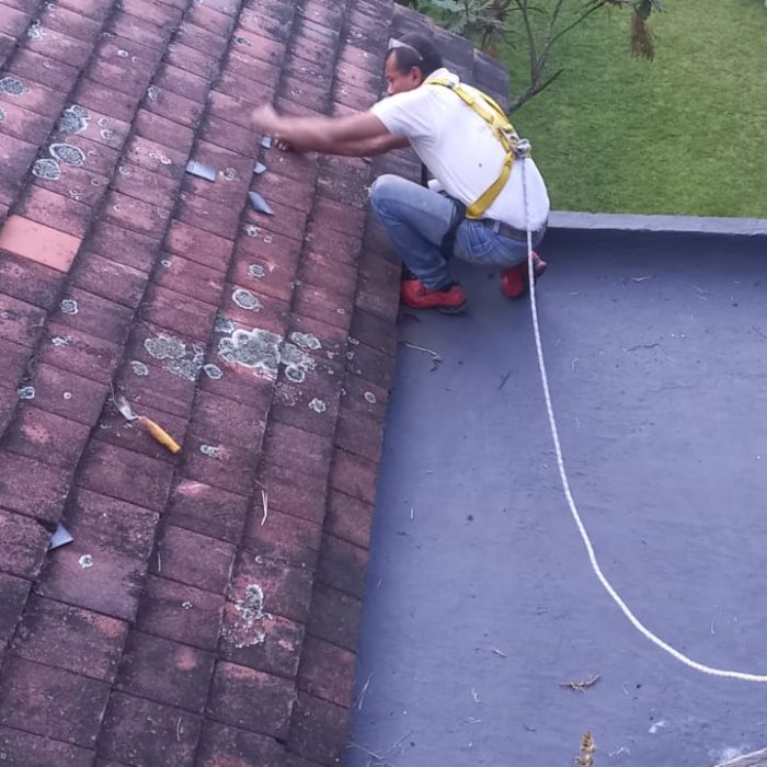 WhatsApp Image 2026-02-17 at 10.34.22 AM