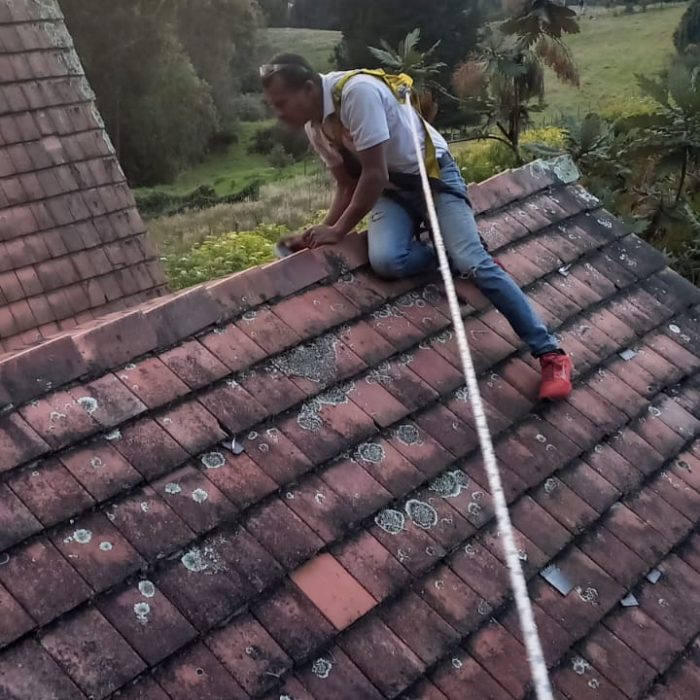 WhatsApp Image 2026-02-17 at 10.34.33 AM